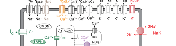 IRModelSchematic